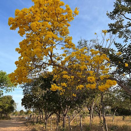 Fervedouro E Pousada Por Enquanto Сан-Фелис-ду-Токантинс Экстерьер фото